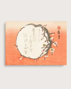 Baika
