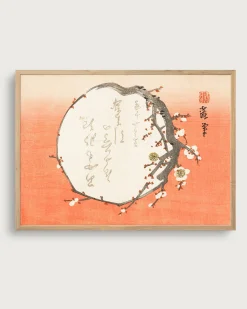 Baika