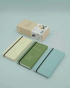 Tombow Irojiten Rainforest (#1) - farveblyantsæt 30 stk.